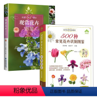 [正版]2册 500种常见花卉识别图鉴+观赏花卉图鉴 野外原植物鉴别图册植物百科全书籍花艺素材大全教程书籍身边花草树木