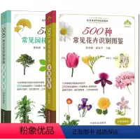 [正版]2册 500种身边常见园林植物图鉴+500种常见的花卉图鉴 彩图版快速原植物花草树木鉴别速查图册花艺教程养花书