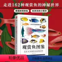 [正版]观赏鱼图鉴自然科学读物 海洋生物养殖鱼类科普百科全书图鉴书籍 鱼缸观赏鱼养殖热带海水鱼淡水鱼冷水性鱼饲养指南品
