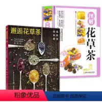 [正版]2册 邂逅花草茶+图解花草茶花草茶养生配方幸福女人花草茶大全容减肥花茶瘦身养颜排毒美白花草养生茶书籍