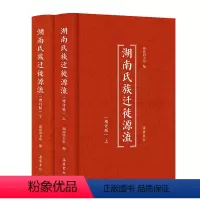 [正版]精装湖南氏族迁徙源流上下两册(增订版)