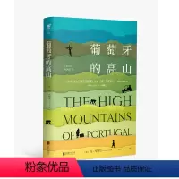 [正版] 葡萄牙的高山(精装) 比少年Pi的奇幻漂流更烧脑 布克奖得主作者著扬马尔特 外国现当代经典文学小说作品 未读