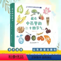 藏在中药里的二十四节气 [正版]藏在中药里的二十四节气全4册中医药文化知识传承少儿趣味科普教育中草药青少年儿童入门知识读