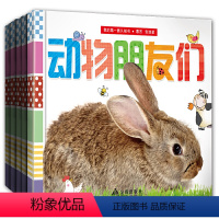 [正版]我的第一套认知书(全7册0-3岁儿童宝宝早教书婴儿益智书专注力全脑训练开发认知绘本书动物昆虫鸟类食物形状颜色数