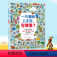 [正版]中文原版一只猫咪上太空 在哪里 从游戏中训练孩子数数 识物 辨色 专注等视知觉超能力 精装