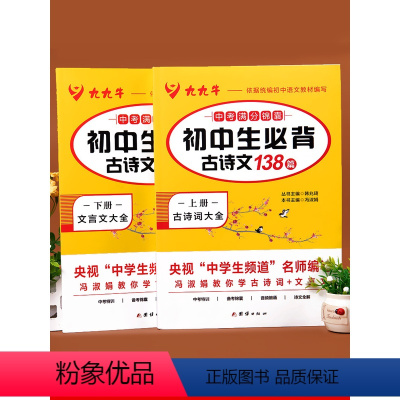 初中生必背古诗词138篇2册 初中通用 [正版]初中生必背古诗文138篇人教版初中必背古诗词和文言文全解一本通中学生七八