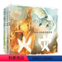 写给孩子的自然灾害书全4册 [正版]写给孩子的自然灾害书 4册套装 同孩子一起 感受自然 了解自然 敬畏自然 珍惜自然
