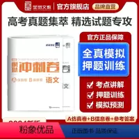 全国通用 语文[新高考] [正版]高考模拟冲刺卷 语文 A仿真模拟卷+B信息押题卷 新高考适用 高三二轮高考复习题型训练