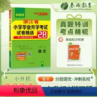 [正版]实验班小升初真题卷2024浙江省小学毕业升学考试试卷精选语文人教版六年级下册总复习必刷题2023年历年真题试卷