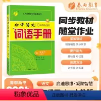 语文 七年级下 [正版]2024年春初中语文词语手册七年级下册人教版语文课文字词句同步讲解辅导书专项训练工具书春雨教育仓