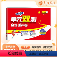 语文 六年级下 [正版]2024年春单元双测语文六年级下册人教版小学练习题同步训练试卷测试卷全套期中期末专项提优达标特训