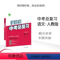 [正版]人教版春雨教育2020春 实验班中考总复习语文初中人教版RMJY中小学教科书配套用书