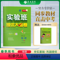 物理 八年级/初中二年级 [正版]2023春实验班提优大考卷八年级下册物理苏科版初中同步测试卷期中期末达标练习全套讲解中