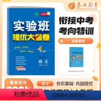 语文 七年级/初中一年级 [正版]2024春实验班提优大考卷七年级下册人教版语文初中同步测试卷期中期末达标练习全套讲解中