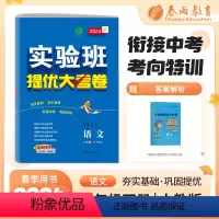 语文 八年级/初中二年级 [正版]2024春实验班提优大考卷八年级下册人教版语文初中同步测试卷期中期末达标练习全套讲解中