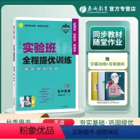 英语 必修第二册 [正版]2024新高考 实验班全程提优训练高中英语必修第二册译林版高一学期高中英语YL版同步训练单元提
