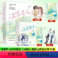[正版]温柔告白 全2册 柔斯文外科医生x勇敢追梦设计师 十年深情 暗恋成真 新增全新出版番外《奢望成真》《爱人爱我》