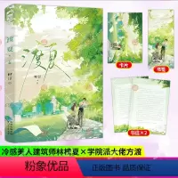 渡夏全2册 [正版]书籍 渡夏 时汀著 都市甜宠青梅竹马追妻火葬场双替身言情小说实体书籍 冷感美人建筑师&学院派大佬 原