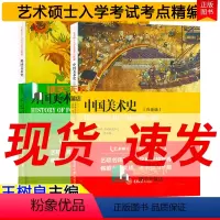 [正版]全2册外国美术史+中国美术史 白金版 树良 艺术硕士入学考试考点精编 艺术各国艺术概况 艺术基础概论艺术思想史