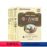[正版]大悦读丛书4本套装 堂吉诃德 泰戈尔诗选 高老头 谈美书简 提升学生赏析能力中小学生课内课外阅读书目 吉林
