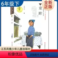 [正版]童眸 黄蓓佳著 好书伴我成长六年级下册 6年级下好书 江苏凤凰少年儿童出版社 小学语文阅读书目 南通总仓库发货