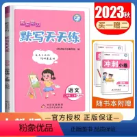 [正版]2023秋 亮点给力小学语文默写天天练 二年级上册 人教版 2年级上 字音词语句段 小学生默写天天练教辅练习书