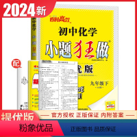 [正版]2024春初中化学小题狂做提优版九年级下册沪教版中考同步初中初三课时同步练阶段自主测期末加油站练习册9年级下内