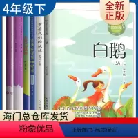 [正版]好书伴我成长四年级下册 宝葫芦的秘密+看看我们的地球+十万个为什么+灰尘的旅行+人类起源的演化过程4年级下学期
