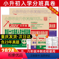 重庆小升初[语文+数学]十大名校入学真卷 小学升初中 [正版]2024年重庆十大名校招生真卷语文数学全套重庆十大名校小升