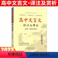 [正版]高中文言文译注及赏析高中语文文言文全解一本通完全解读人教版阅读专项训练翻译常识助读高中必修古诗文翻译书阅读训练