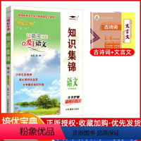 知识集锦[语文] 小学通用 [正版]2023小学语数英知识集锦四川专版小学生三四五六年级小升初阅读训练上下册培优宝典让孩