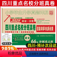 [正版]四川重点名校分班真卷语文2025新初一分班66套冲刺重点班小升初十大名校成都绵阳小学毕业升学考试试卷模拟真题详