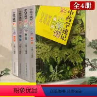 [正版]中药学速记彩色图谱 经典古籍医书实用中草药彩版 中常用中药知识大全中药饮片鉴别图谱中药鉴定书籍彩色常用中草药图