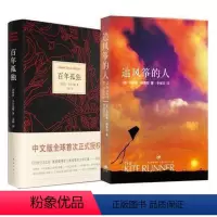 [正版]诺贝尔文学奖百年孤独+追风筝的人 马尔克斯胡塞尼经典文学课外文学小说读本世界名著心灵成长卡勒德胡赛尼著 约恩·