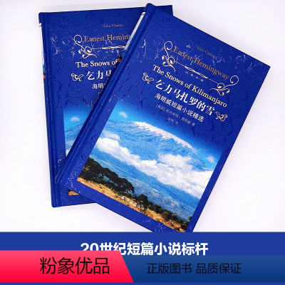 全册 [正版]乞力马扎罗的雪 海明威短篇小说精选 经典译林硬壳精装 世界名著外国小说中小学生暑寒假课外读物书 译林出