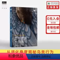 [正版]天际线怎样理解一只鸟 含150幅彩色照片及水彩插画从进化的角度揭秘鸟类行为自然动物科普书籍译林出版社直发