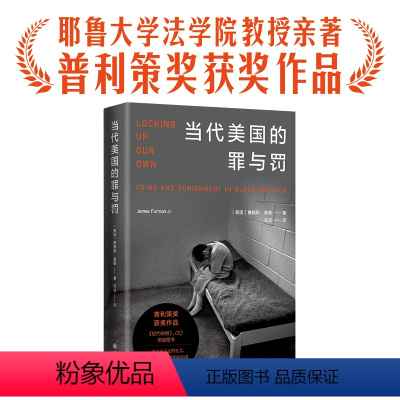 [正版]当代美国的罪与罚詹姆斯·福曼普利策奖获奖作品外国热门小说入选纽约时报华尔街日报书籍豆瓣高分图书译林出版社直
