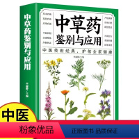 [正版]中草药鉴别与应用 从零开始学中医基础理论知识入门医学书籍家庭实用百科全书养生书籍