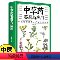 [正版]中草药鉴别与应用 从零开始学中医基础理论知识入门医学书籍家庭实用百科全书养生书籍
