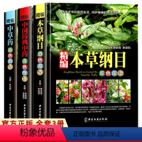 [正版]全3册精编中草药原色图谱+本草纲目原色图谱+药典中草药野外识别彩色高清速查图鉴百科1500种中药材大图谱700