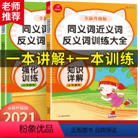 同义近义反义词训练大全2册 小学通用 [正版]教育小帮手小学语文讲与练同义词近义词反义词训练大全彩绘小学语文知识讲解一二