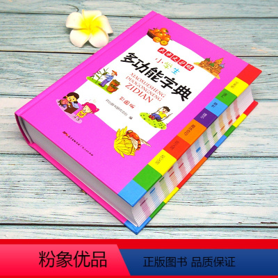 [正版]新版小学生多功能字典大开字典实用新编工具书彩图辞书小学生的工具书 学习教辅实用书籍 适合1-6年级学生