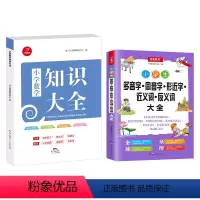 知识大全+字词大全共2册 [正版]小学数学知识大全小学生多音字同音字大全小考真题全面备考讲练结合