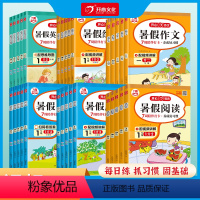 暑假专项6本套装[送7周陪伴打卡] 小学一年级 [正版]2023版一二三四五六年级暑假专项训练上下册口算应用题暑假阅读同