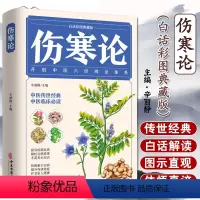 [正版]伤寒论 张仲景 中医书籍大全 彩图典藏版含原文注释译文 杂病论医药大全中医书籍中草药彩图大全书医学类书籍中药中