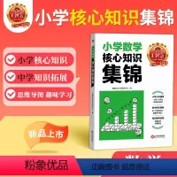 数学 小学通用 [正版]王朝霞核心知识集锦数学基础知识大盘点一二三四五六年级小升初大集结考点初中衔接小学知识大全手册人教