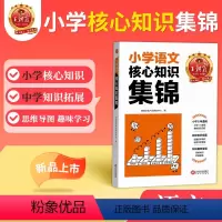 语文 小学通用 [正版]小升初大集结考点初中衔接核心知识集锦语文基础知识大盘点一二三四五六年级小学知识大全手册人教版考试