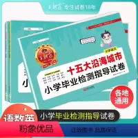 语文数学英语3本套装 小学通用 [正版]2023新小升初城市卷王朝霞十五大城市小学毕业检测指导卷真题初中招生考试语文数学