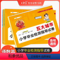 [五大一线城市]语文数学英语3本套装 小学通用 [正版]城市卷王朝霞五大城市小学毕业检测指导卷真题小学升初中招生考试语文