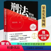 [正版]刑法常用百罪精解 陈洪兵 破解刑法常用百罪 法律法规 中国法律 罪名实务判例 法律书籍 中国人民大学出版社